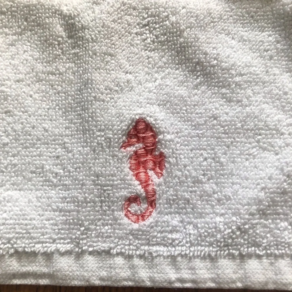 embroidered seahorse wash cloth